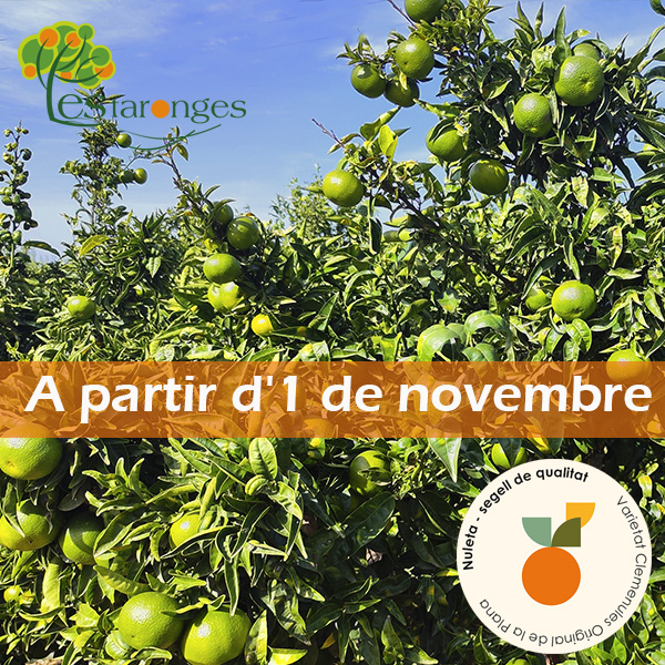 Nova temporada Nuleta